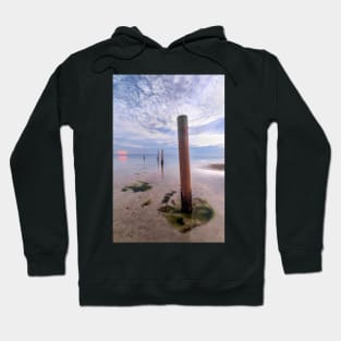 Poles Hoodie